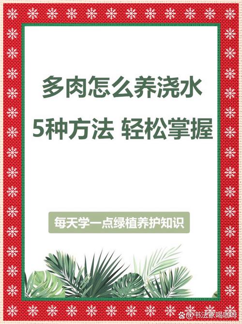 多肉便當怎麼種