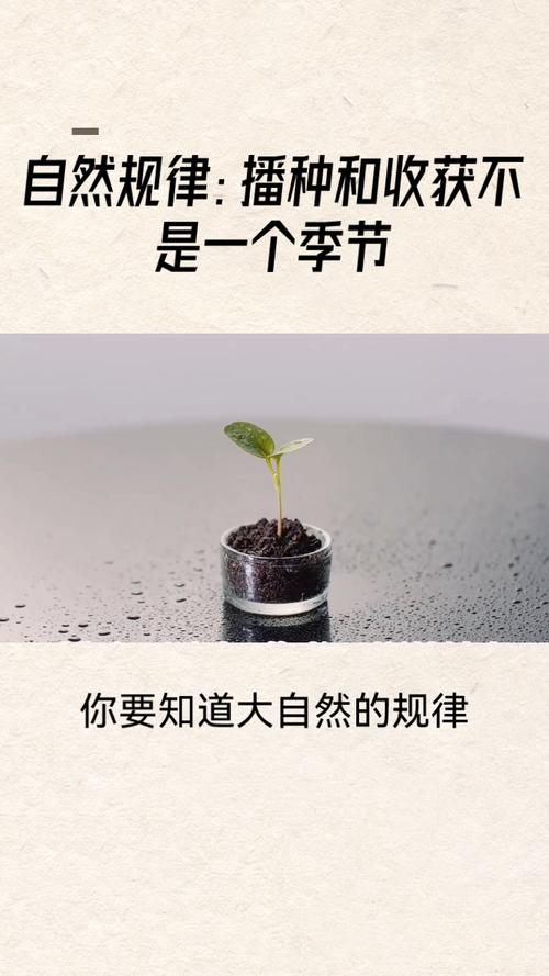 自然法則是什麼