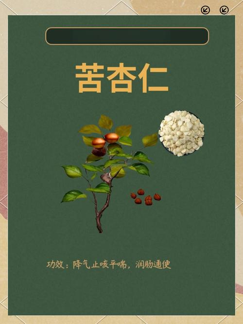 苦杏仁為什麼會死掉
