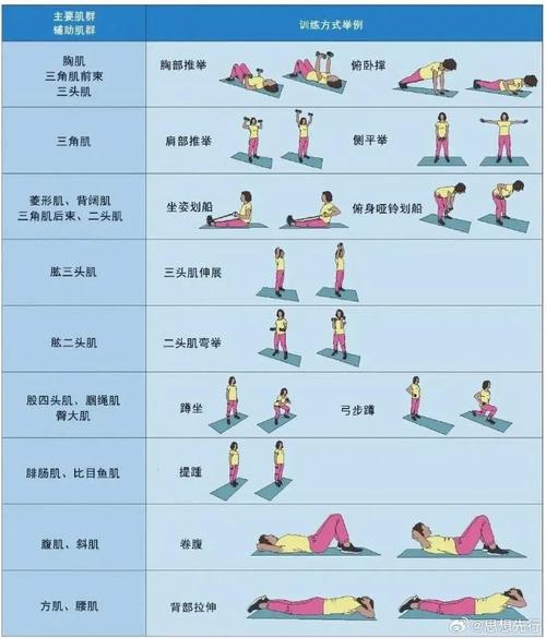 50歲如何增加肌肉