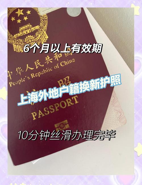換護照需要什麼資料