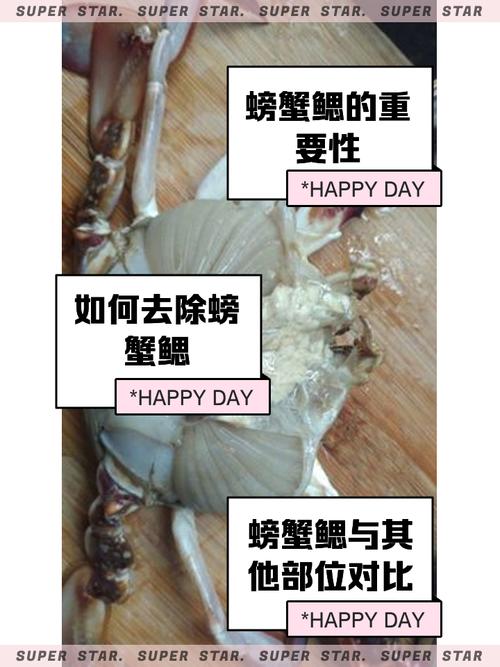 螃蟹的鰓在哪裡:深入探索螃蟹的呼吸奧秘 1 螃蟹的鰓在哪裡