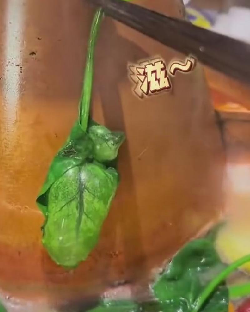菠菜為什麼要燙過