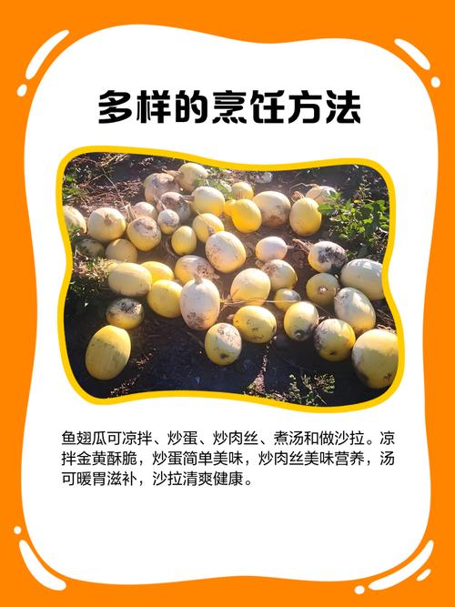 魚翅瓜煮多久
