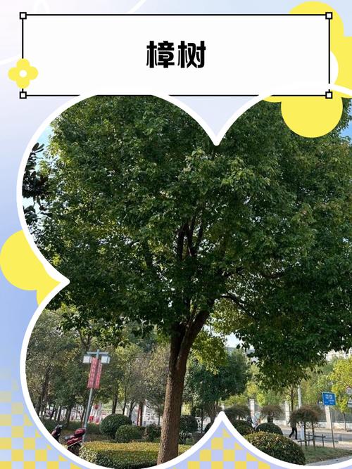 樟樹步道要走多久