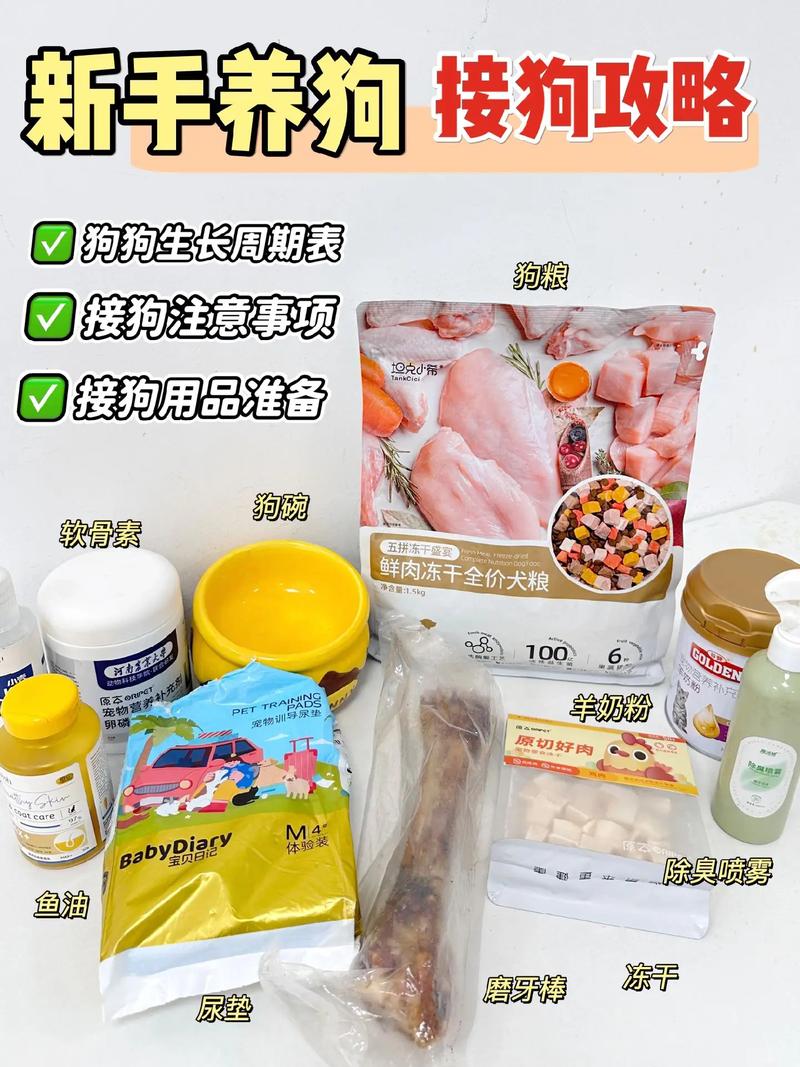 狗保母一天多少