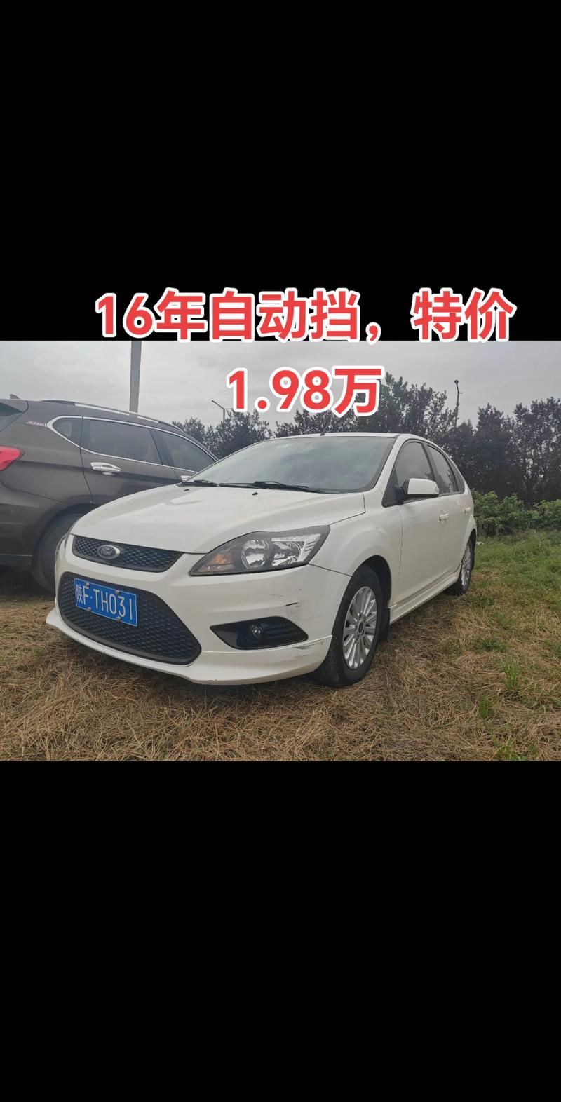 福斯m檔是什麼
