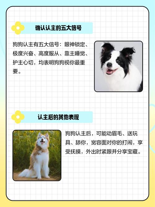 怎麼讓狗認主人