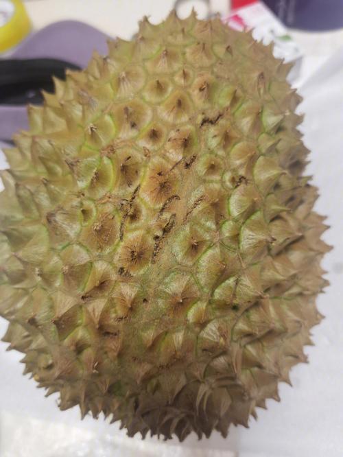 榴蓮有寄生蟲嗎