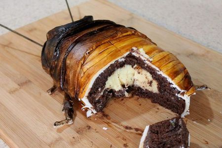 馬達加斯加蟑螂吃什麼:飼養牠們的飲食奧秘與營養指南 3 馬達加斯加蟑螂吃什麼