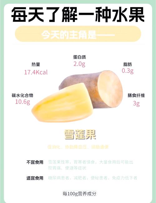 雪鍊有用嗎?深度解析雪地行車安全必備的抓地力神器! 3 雪鍊有用嗎