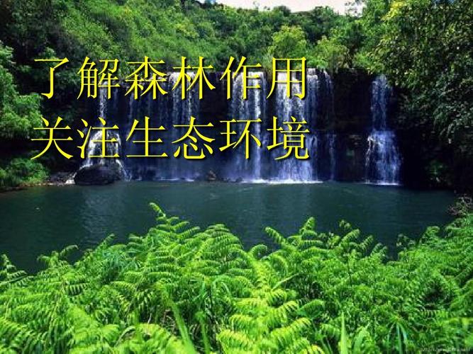 開發森林有什麼好處:解密永續經營的生態、經濟與社會多重價值 3 開發森林有什麼好處
