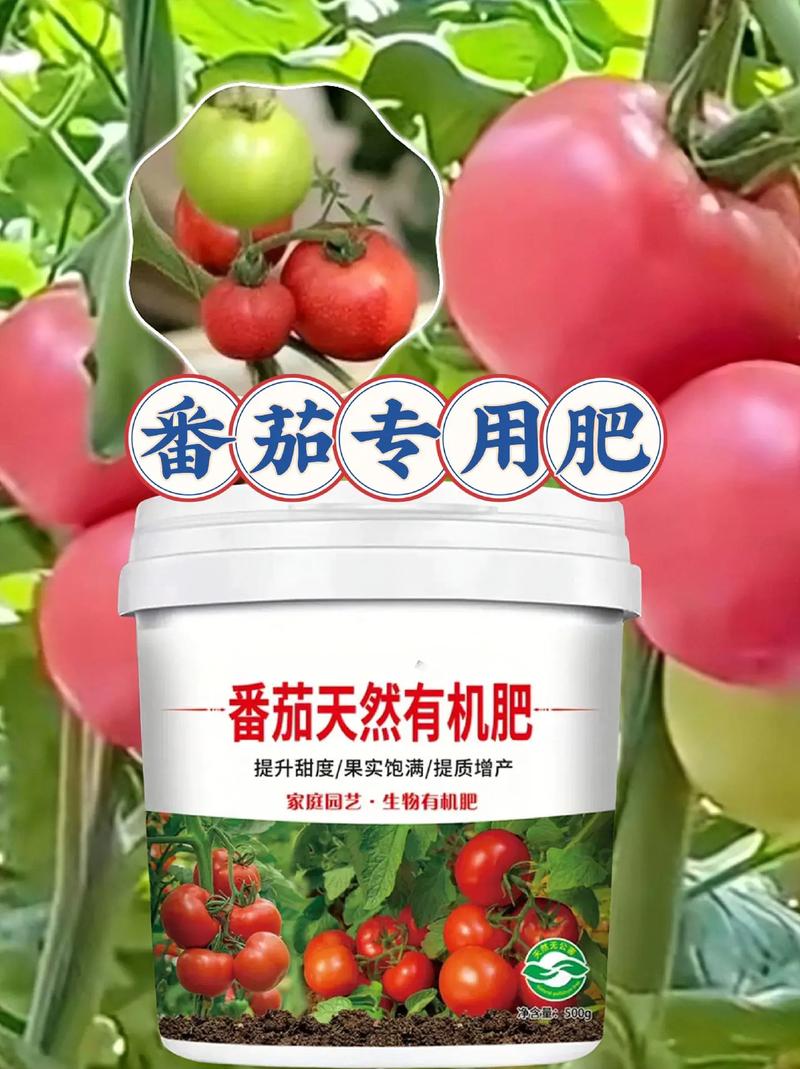 蕃茄施什麼肥