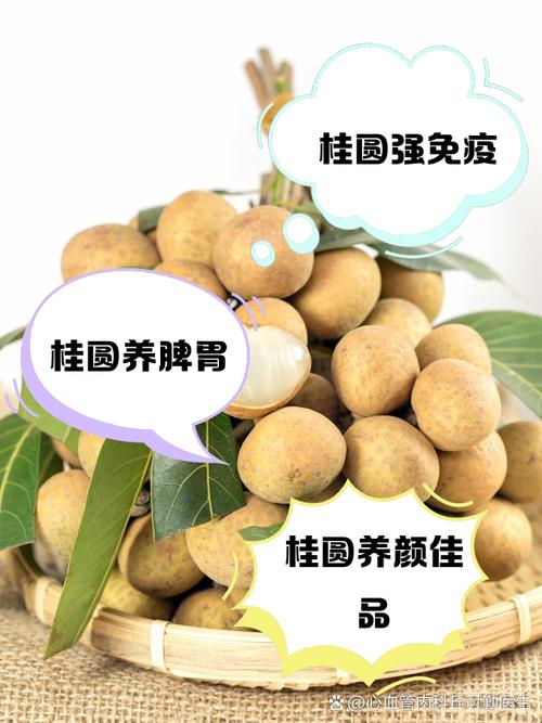 桂圓活血嗎