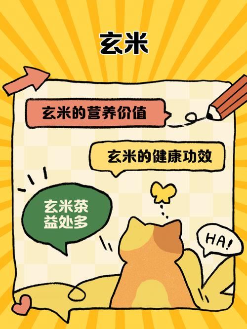 日文玄米是什麼