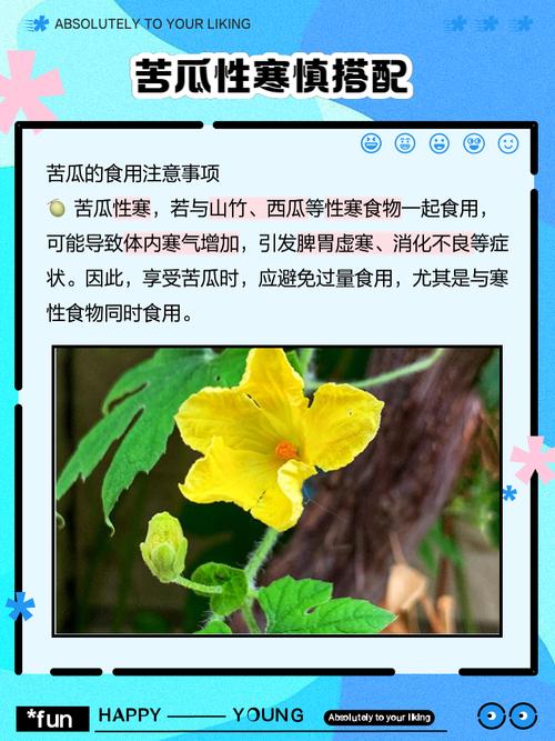 苦瓜不要跟什麼一起吃
