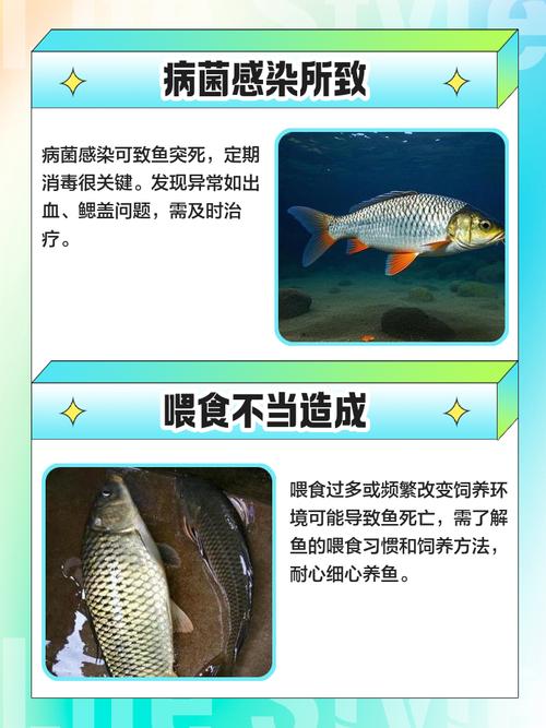 天氣太熱魚會死掉嗎