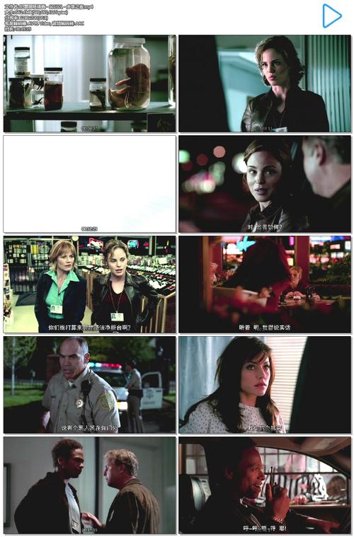 csi犯罪現場有幾季