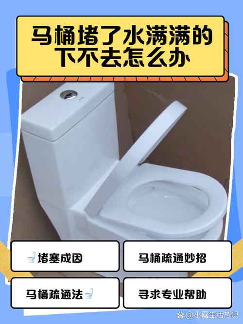 馬桶堵住水下不去怎麼辦:居家DIY與專業解決方案全攻略 1 馬桶堵住水下不去怎麼辦
