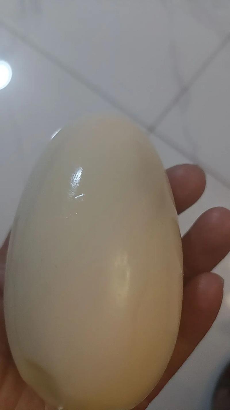 大巨蛋裡面有吃的嗎