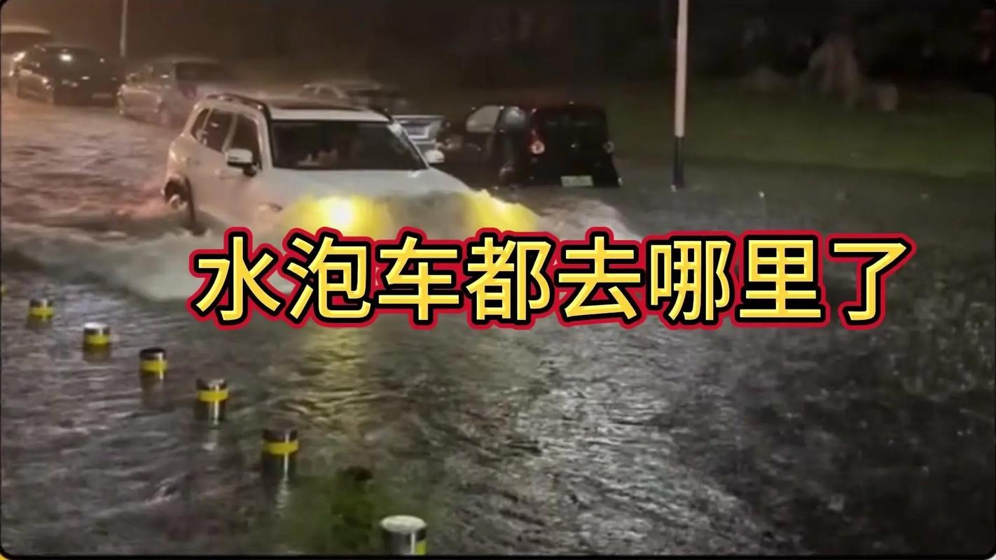 什麼叫泡水車