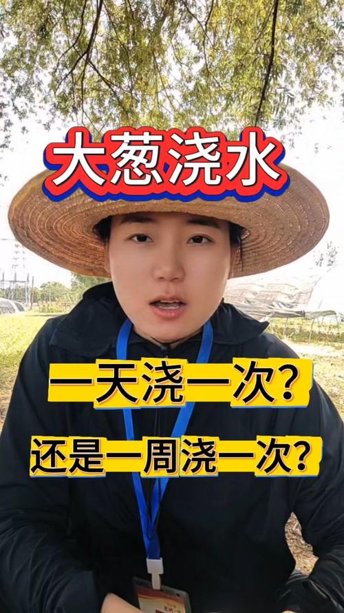蔥幾天澆一次水