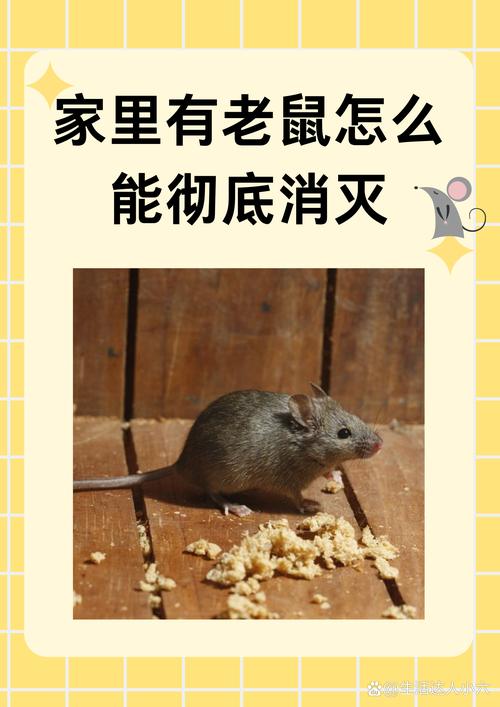 老鼠怕甚麼味道