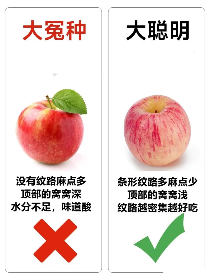 脆蘋果怎麼挑