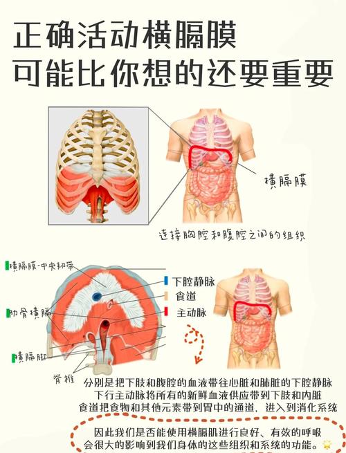 如何正確呼吸