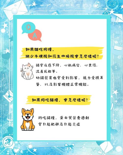 狗能吃貓飼料嗎