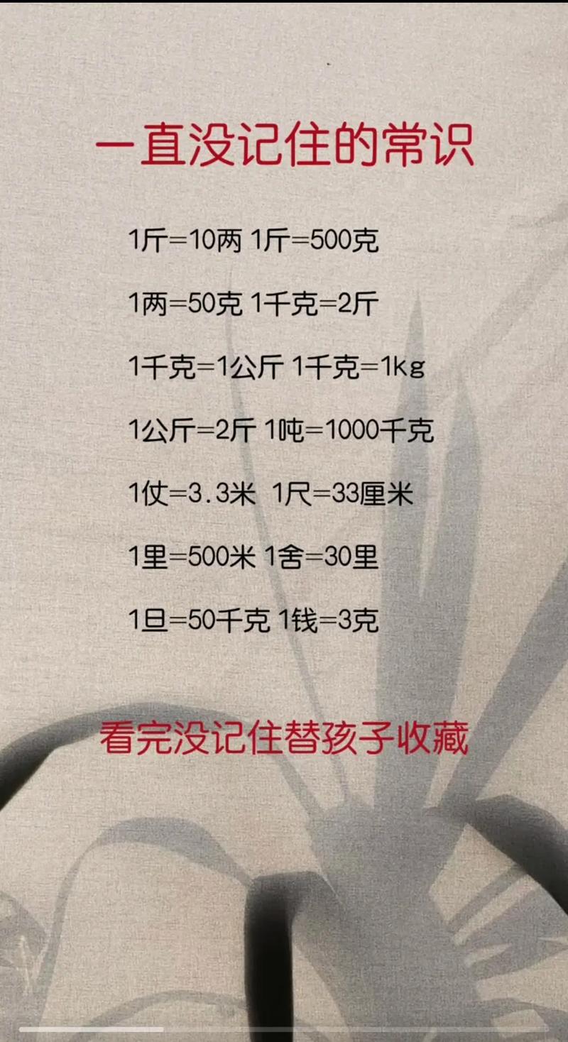 一斤等於幾公斤