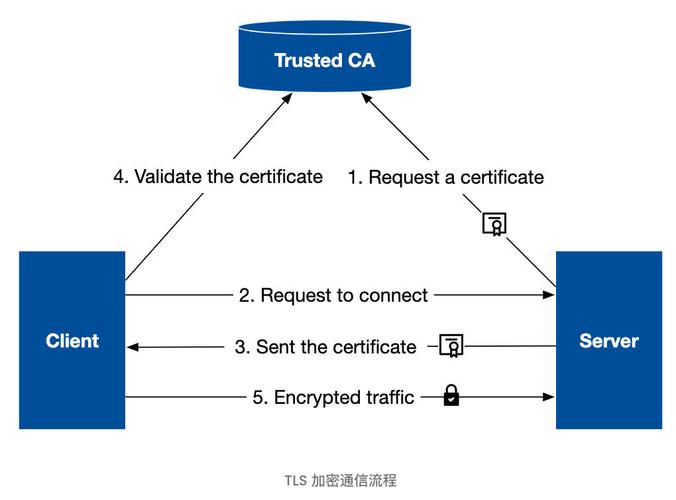 什麼是TLS
