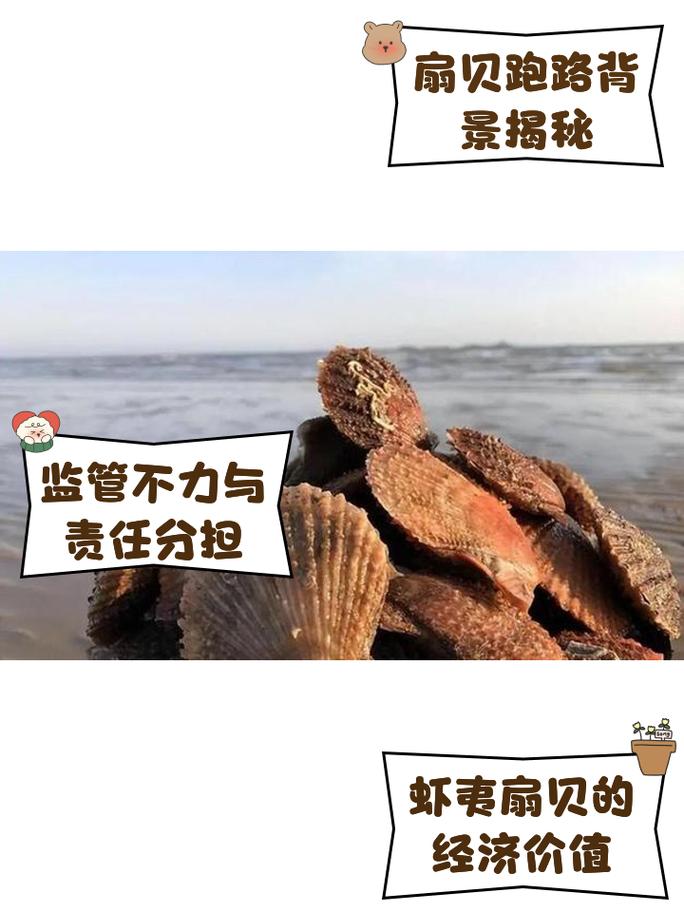 扇貝會跑嗎