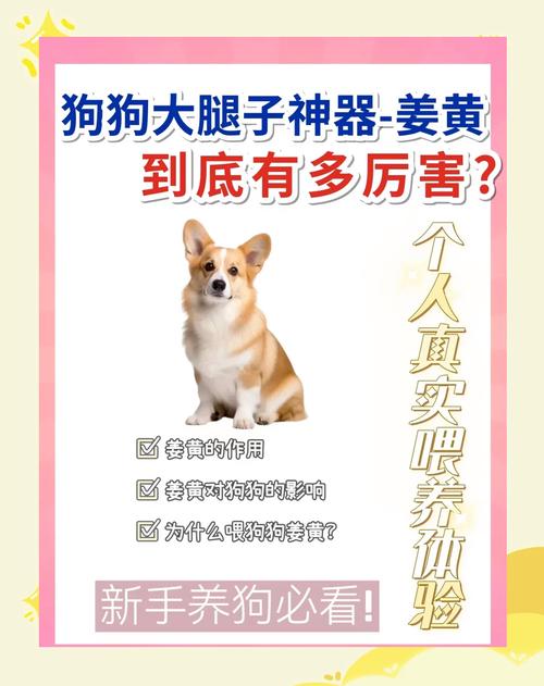 狗狗可以吃薑嗎