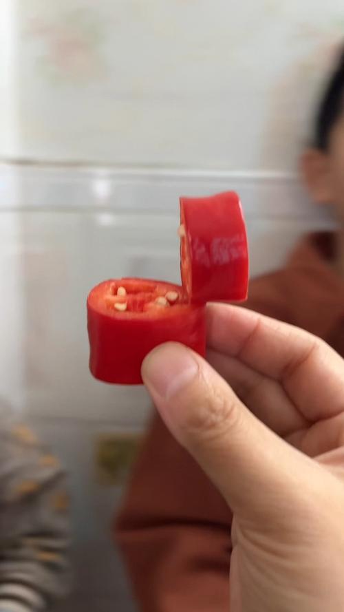 貓咪可以吃椰絲嗎