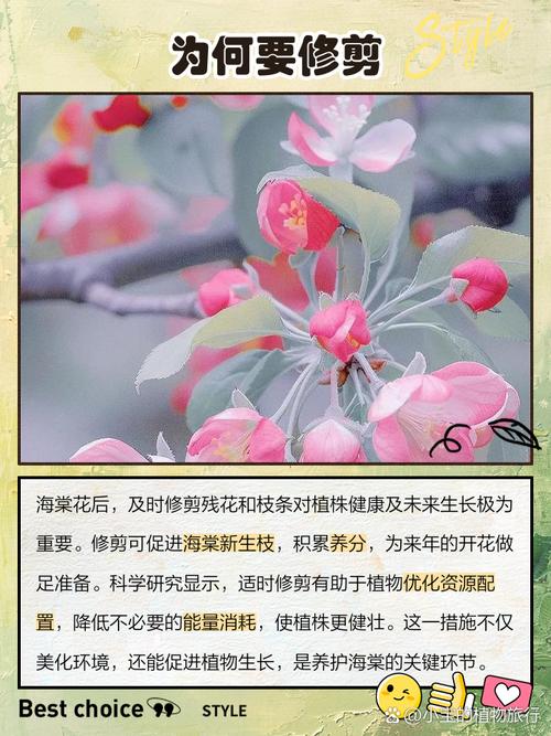 花謝了要剪掉嗎
