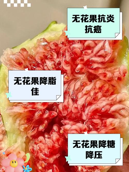 無花果誰不能吃