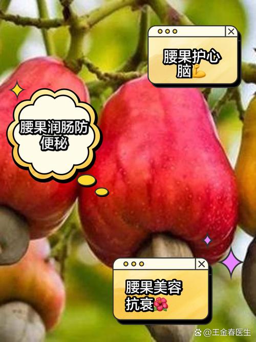 腰果要剝膜嗎