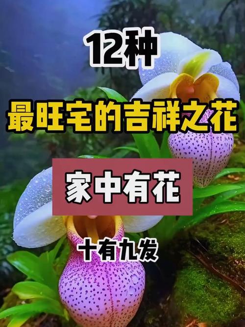 吉祥的花