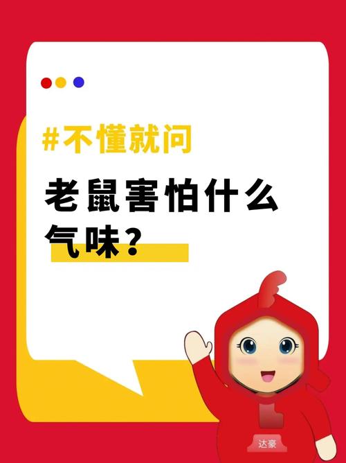 老鼠害怕的氣味