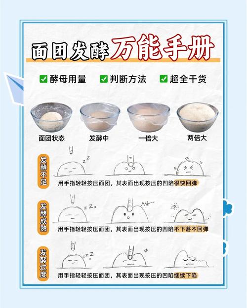 餅乾麵團可以放多久