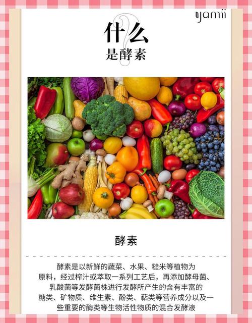煮飯酵素是什麼