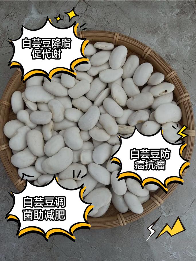白腎豆跟白芸豆一樣嗎