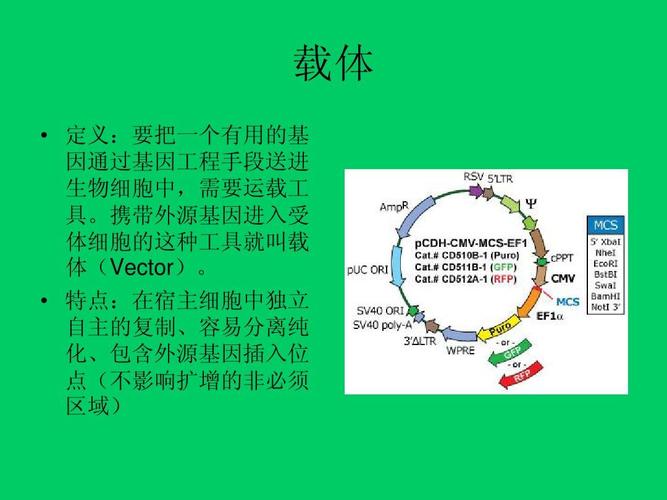 什麼是非基因改造