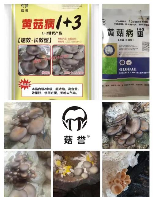 菇類有農藥嗎