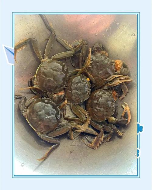 軟殼蟹需要去鰓嗎