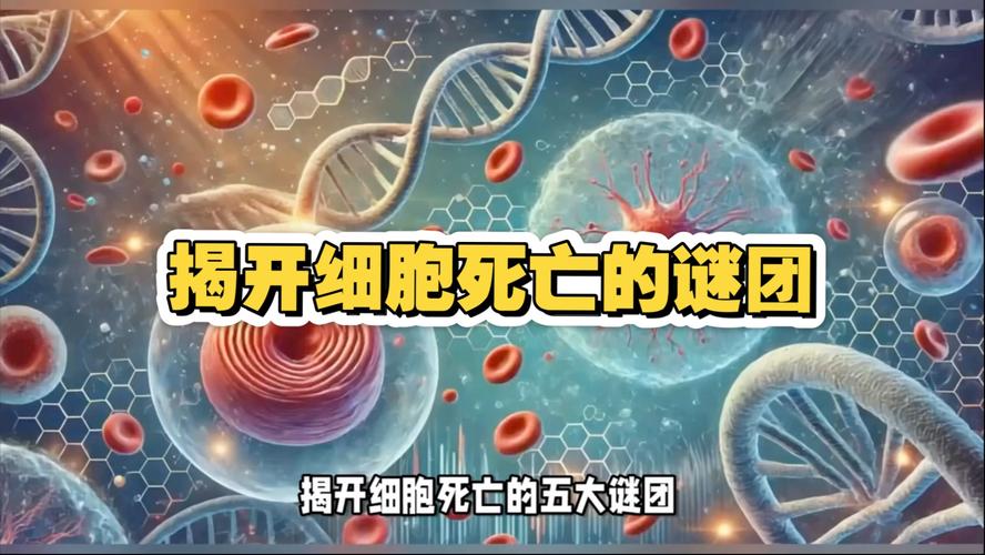 人每天死多少細胞