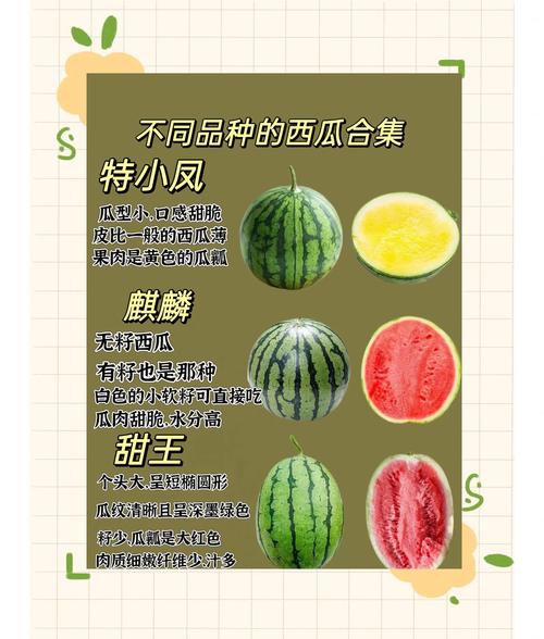 西瓜為何叫西瓜