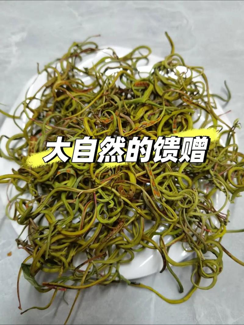 青草茶可以放多久