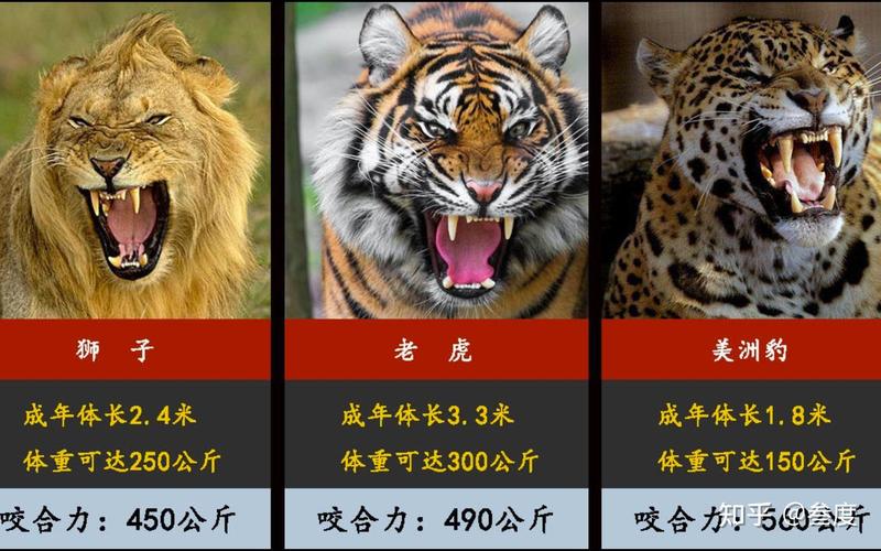 老虎是一夫一妻制嗎